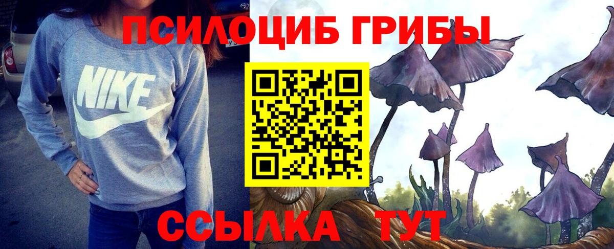 Галлюциногенные грибы ЛСД  Псилоцибиновые грибы Magic Shrooms  Вход с VPN  Курчатов 